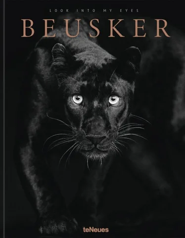 ACC Art Books 灯饰目录 · Beusker