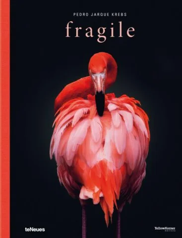 ACC Art Books 灯饰目录 · Fragile