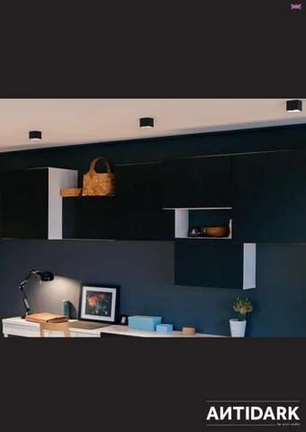 ACEC Distributors Ltd 灯饰目录 · Downlights
