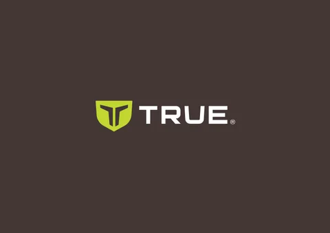 TRUE | 灯饰目录 2025