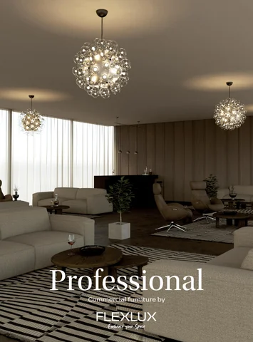 Flexlux Professionals
