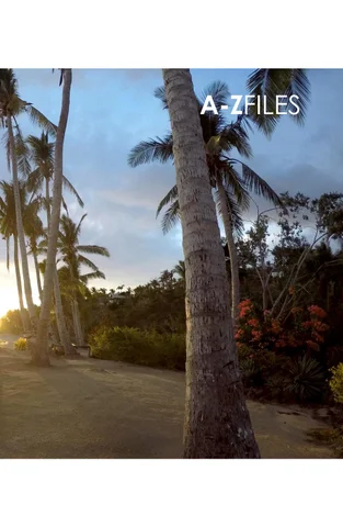 A-Z Files 2017