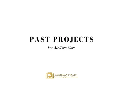 Past Projects 灵感