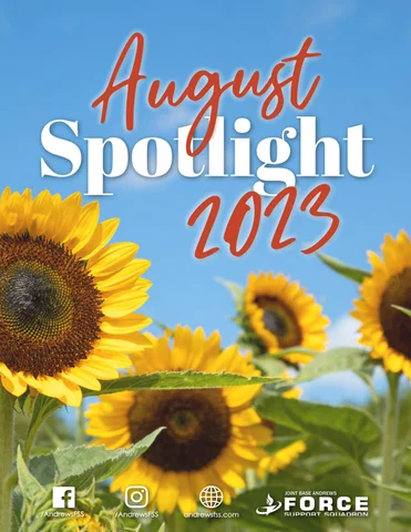 August 射灯