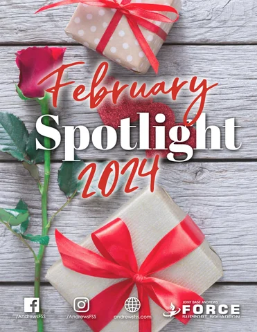 February 射灯