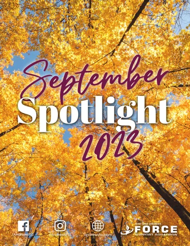 September 射灯
