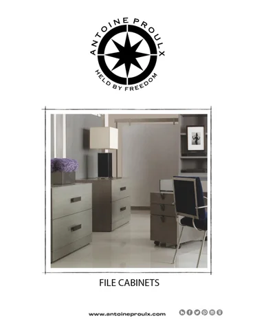 Antoine Proulx | File Cabinets | 1-520-760-0037