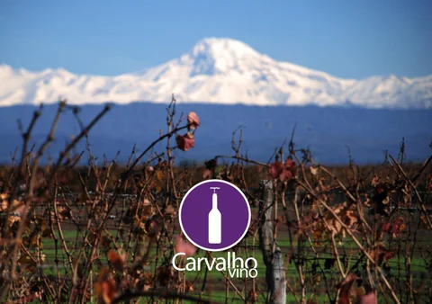 Catalogo Carvalho Vino