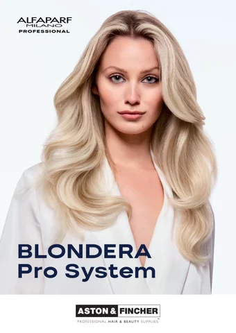Alfaparf Blondera Sales Presenter