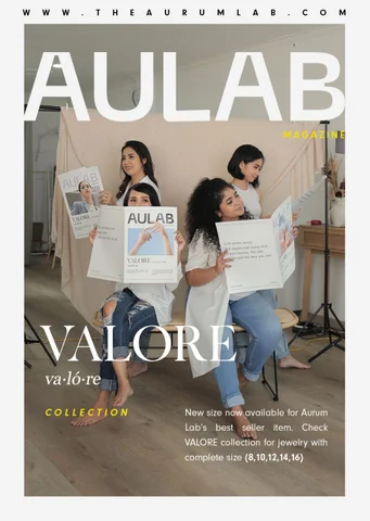 VALORE 灯饰产品集