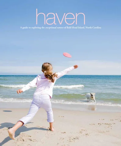 Haven 2014