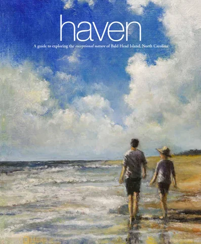 Haven 2015