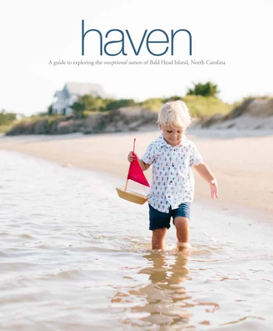 Haven 2016