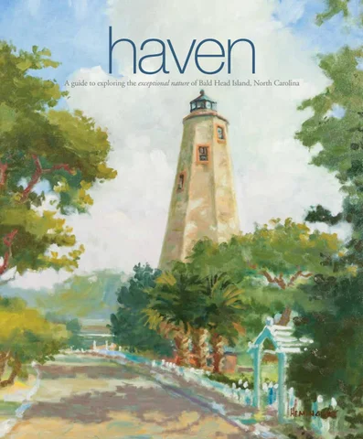 Haven 2017