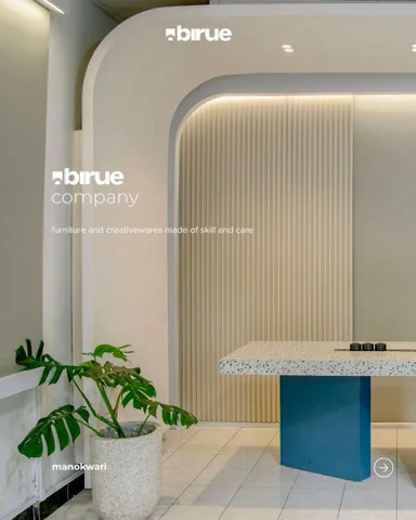 Birue Company Introduction
