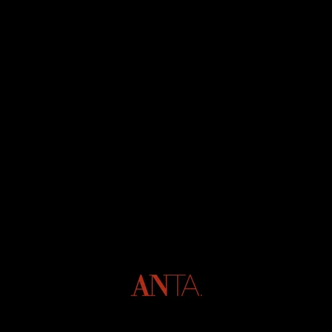 Brink Licht Anta Leuchten 2015/2016 灯饰目录