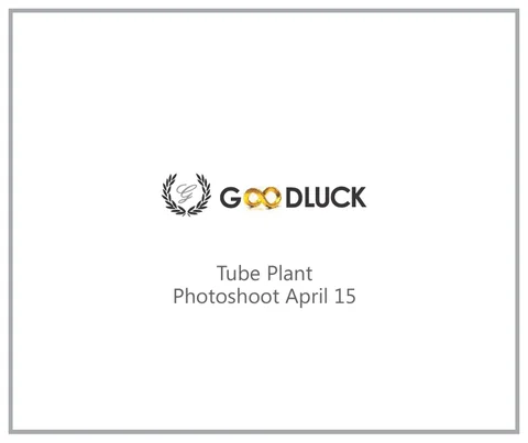Goodluck tube plant photoshoot