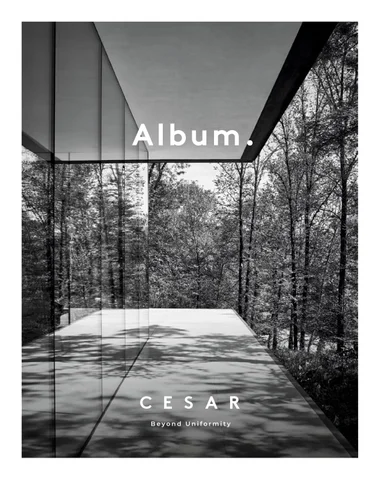 Cesar ALBUM 2026
