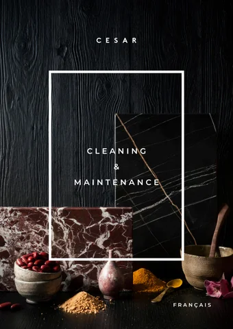 Cleaning × Maintenance 法文