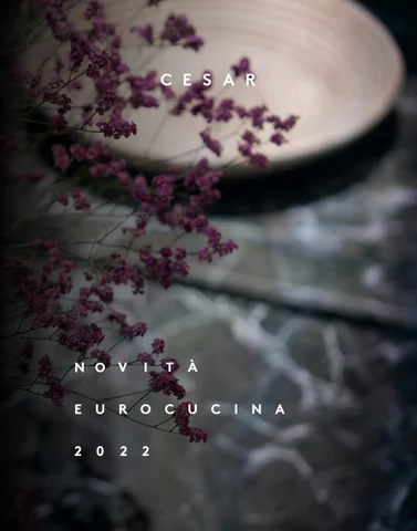 News Eurocucina 2022 ( 俄文 )