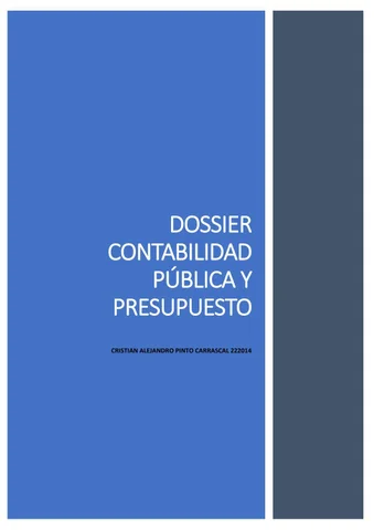 Dossier 德文 Contabilidad Publica y Presupuesto