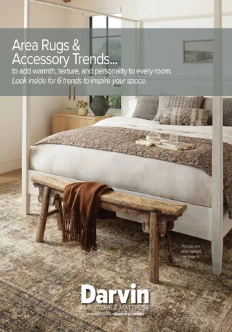 Darvin 家具 Area Rugs × Accessory Trends