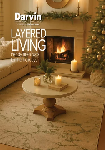 Trendy Area Rugs for the Holidays- at Darvin 家具 × 床垫