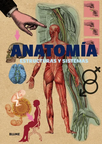 Anatomía. Estructuras y sistemas