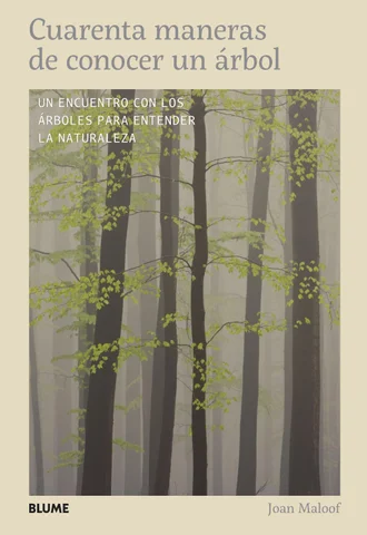 Cuarenta maneras 德文 conocer un árbol