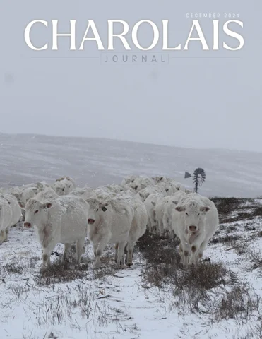 December 2024 Journal