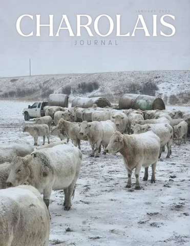 January 2025 Journal