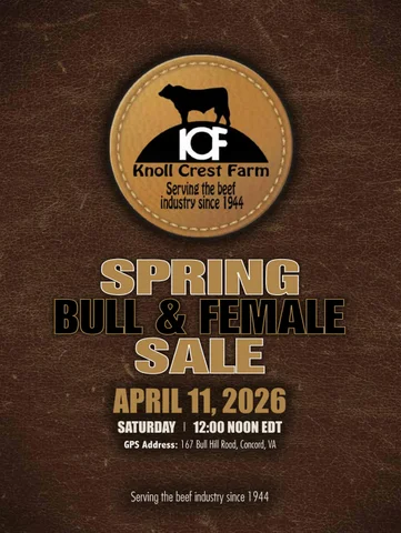 Knoll Crest Farm Bull and Female Sale - 2026