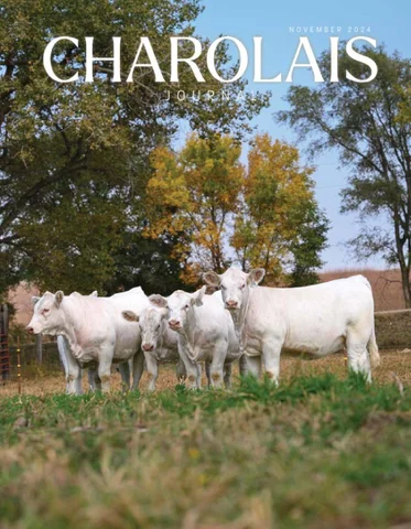 November 2024 Journal
