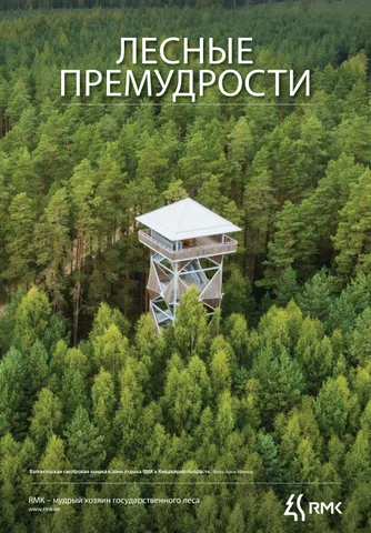 ЛЕСНЫЕ ПРЕМУДРОСТИ (весна 2023)