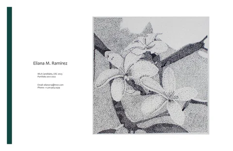 Portfolio - Eliana M Ramirez