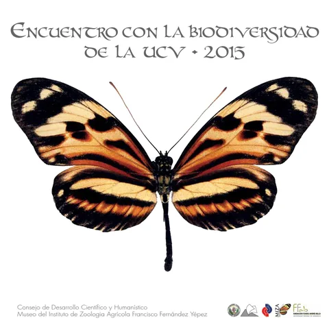 elizabeth g cornejo 家具目录 · 书桌 CALENDAR