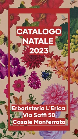 Catalogo Natale 2023 L’Erica