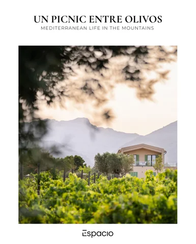 UN PICNIC ENTRE OLIVOS - Espacio Stories