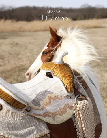 S. Harris il Campo 家具型录