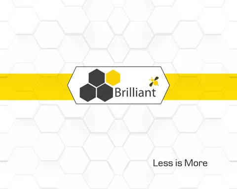 Brilliant Bee 家具目录