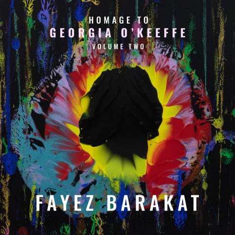 Homage to Georgia O'Keeffe 第 2 册 册