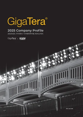 2025 GigaTera 지명원 v.1.0.8 Optimizer KR