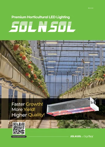 2026 SOLNSOL 灯饰目录 [ 英文 ]