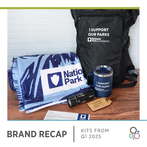 Q1 Brand Recap 2025