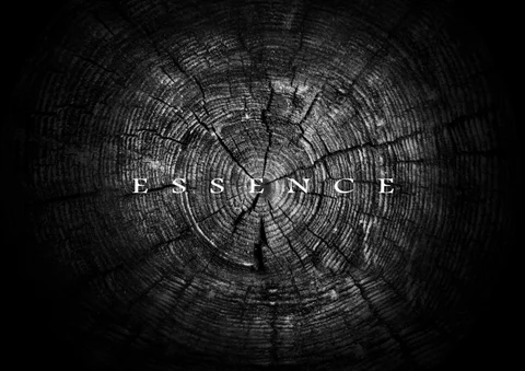 Essence for Poliform