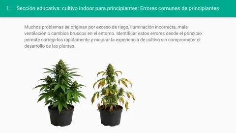 Growbarato GB The Green Brand 灯饰目录 Grow Barato 2026 — Cultivo, Iluminación, Fertilizantes - 册 -2