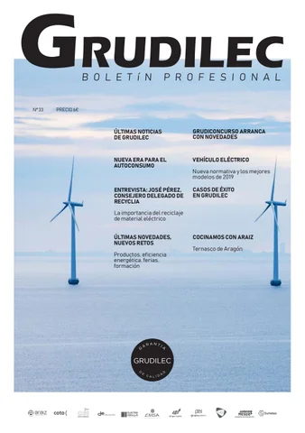 Boletín profesional nº33 - Grudilec