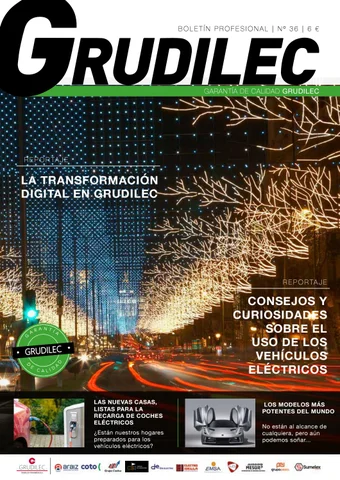 Boletín Profesional nº 36
