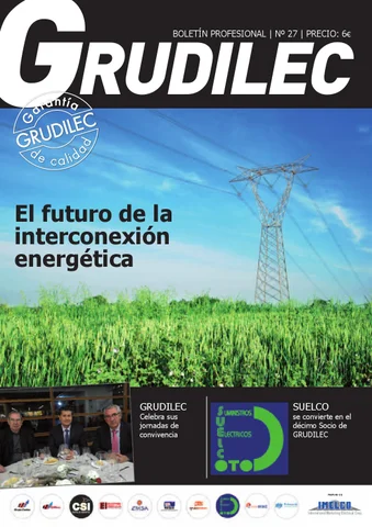 Boletín Grudilec Profesional 27