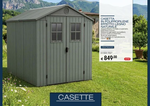 CAT FDT 8 casette.bauli